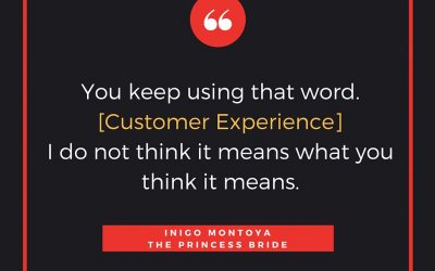 Customer (in)Experience, Inigo Montoya and Maya Angelou